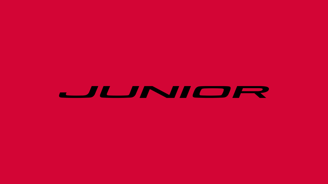 Alfa Romeo Junior info