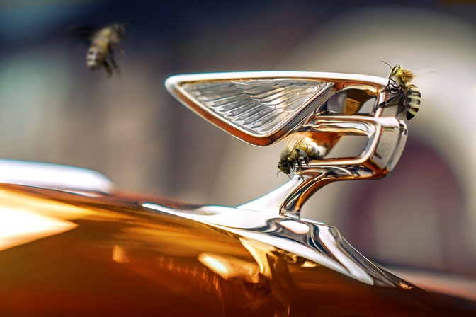 Bentley Brussels abeilles