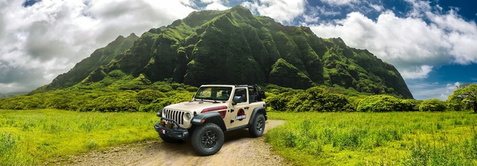 Jeep Wrangler Jurassic Park stickers