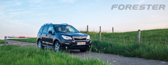 Subaru-forester-diesel-2013-rijtest