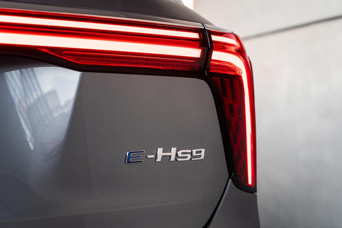 Test Hongqi E-HS9 2024